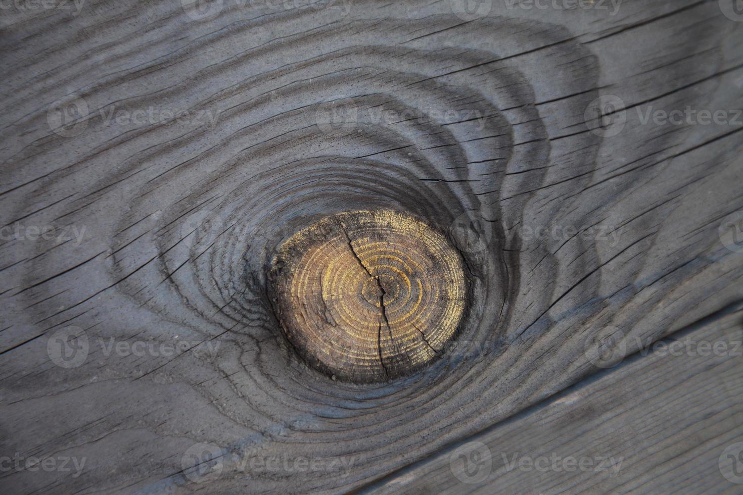 hout grijze textuur foto