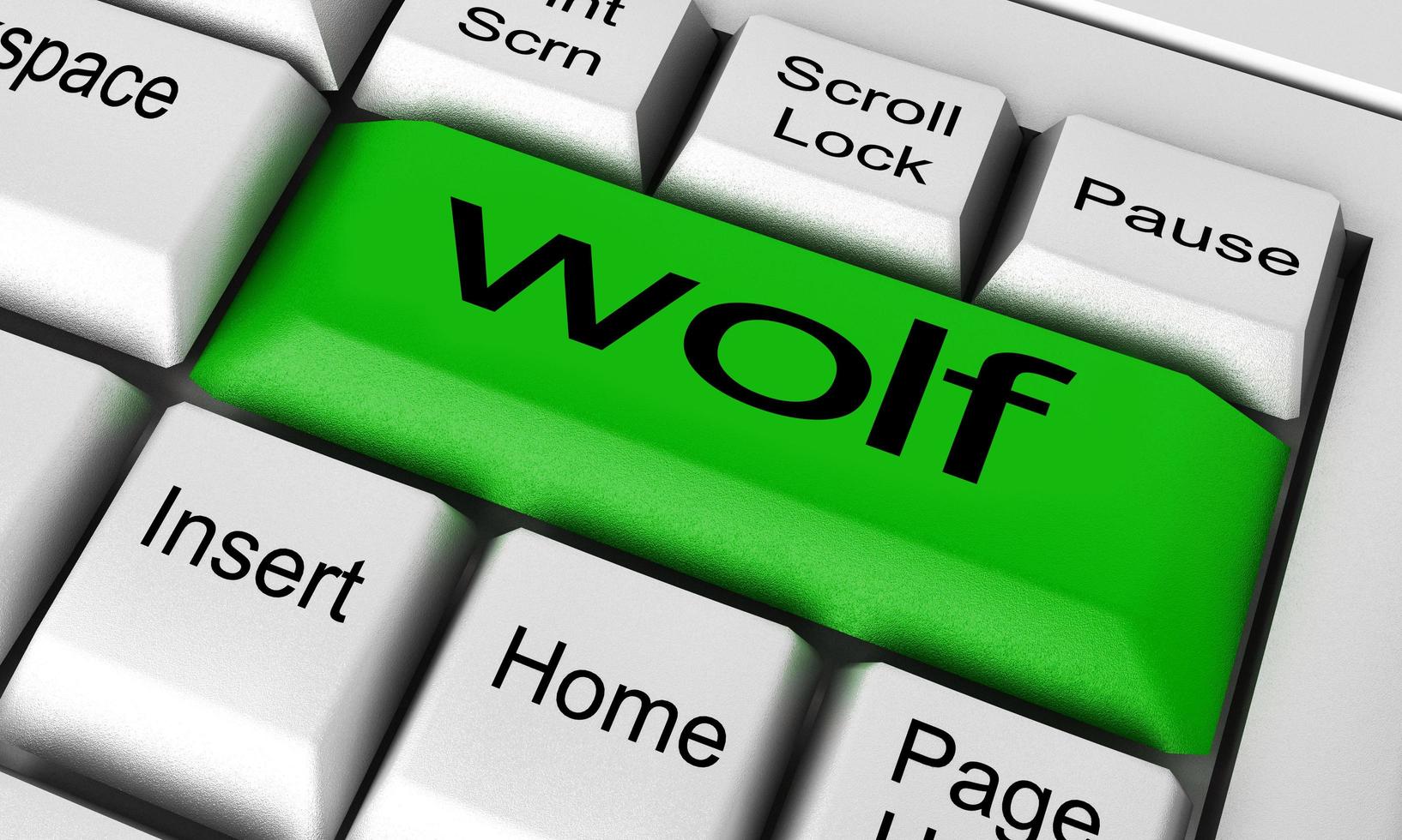 wolf woord op toetsenbord knop foto