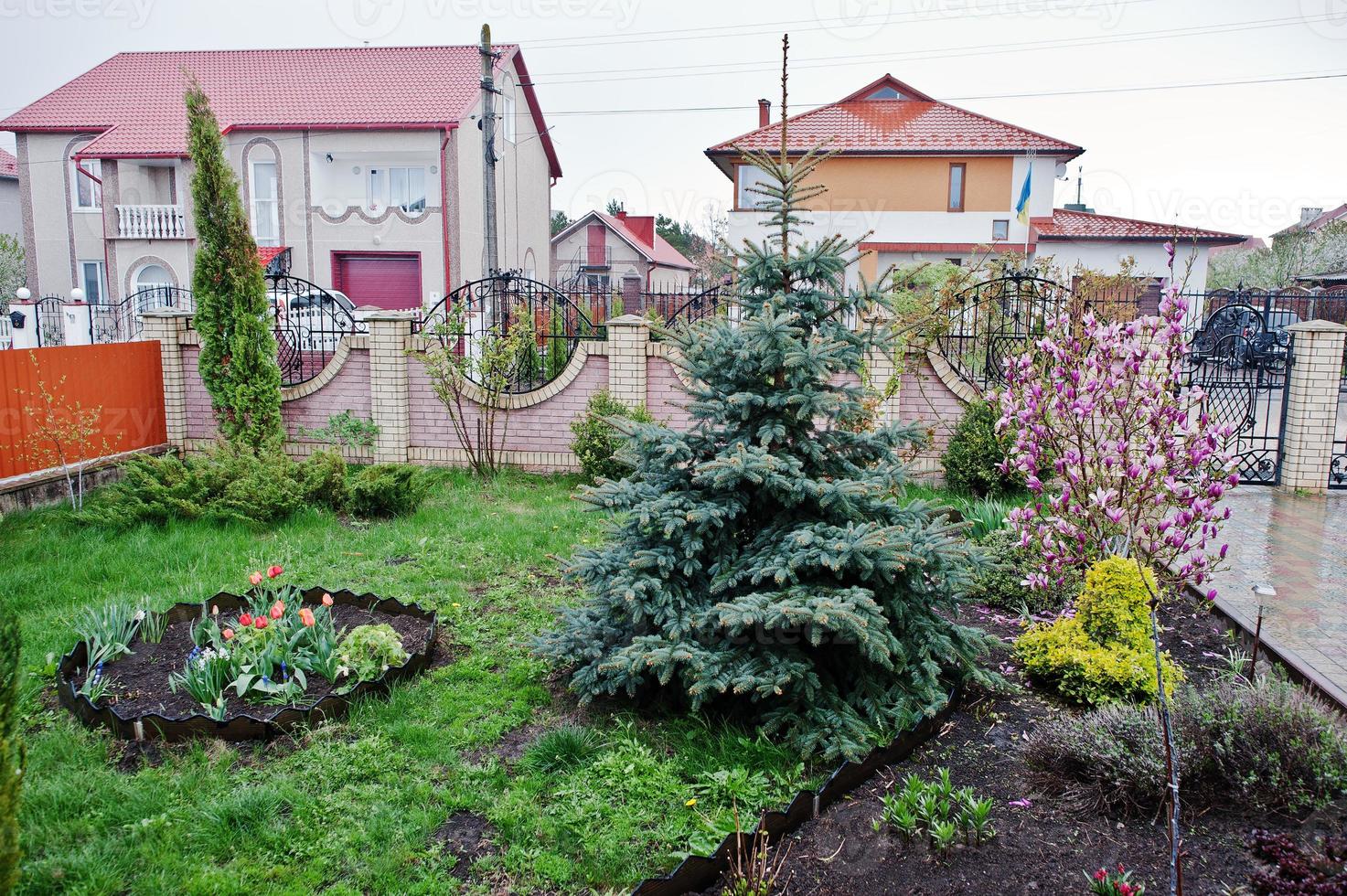 bloemen en magnoliaboom met kerstboom voor het huis, voortuin. landschapsontwerp van gevelbouw. foto