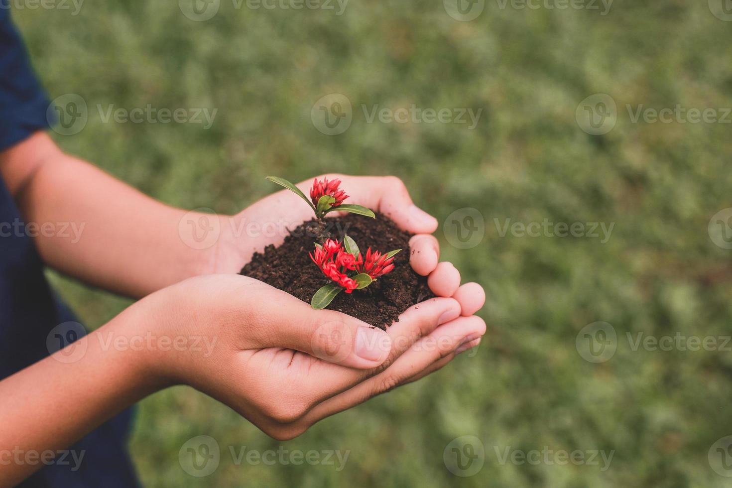 hand met plant in pot tegen groene grasachtergrond foto