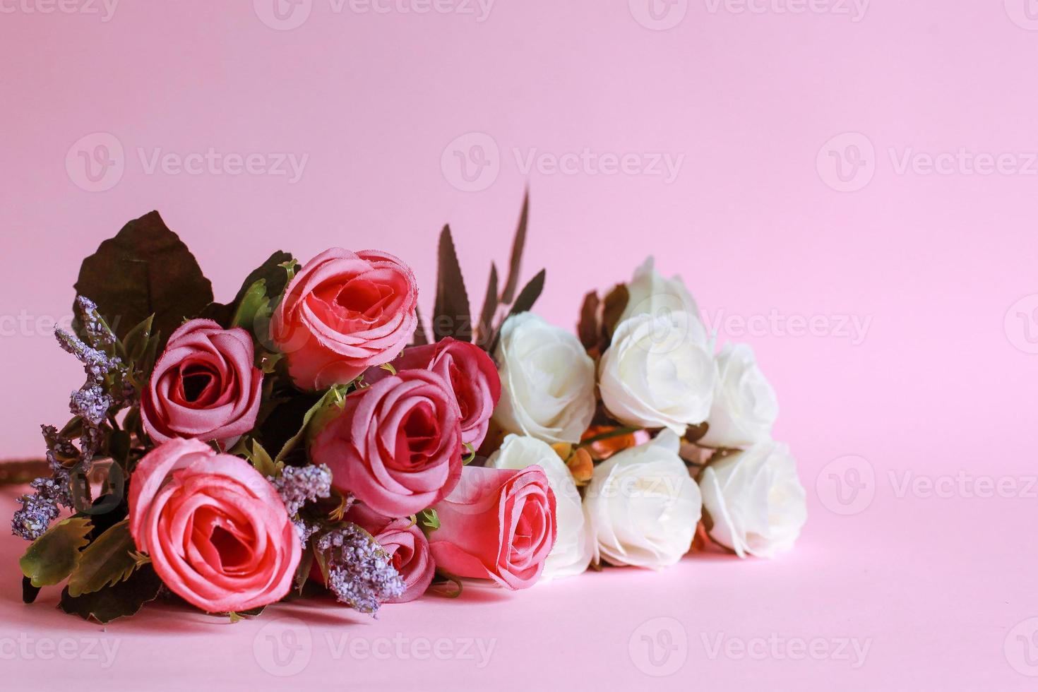 kleurrijke roos geïsoleerd op roze achtergrond foto