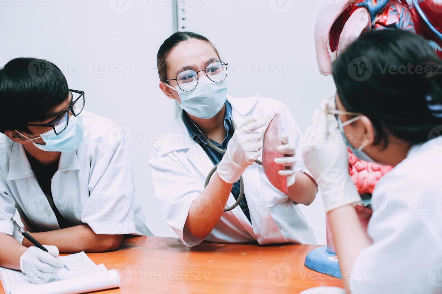 arts en verpleegkundige of teamspecialisten, observeren en discussiëren over menselijke longen in het menselijke orgaanmodel foto