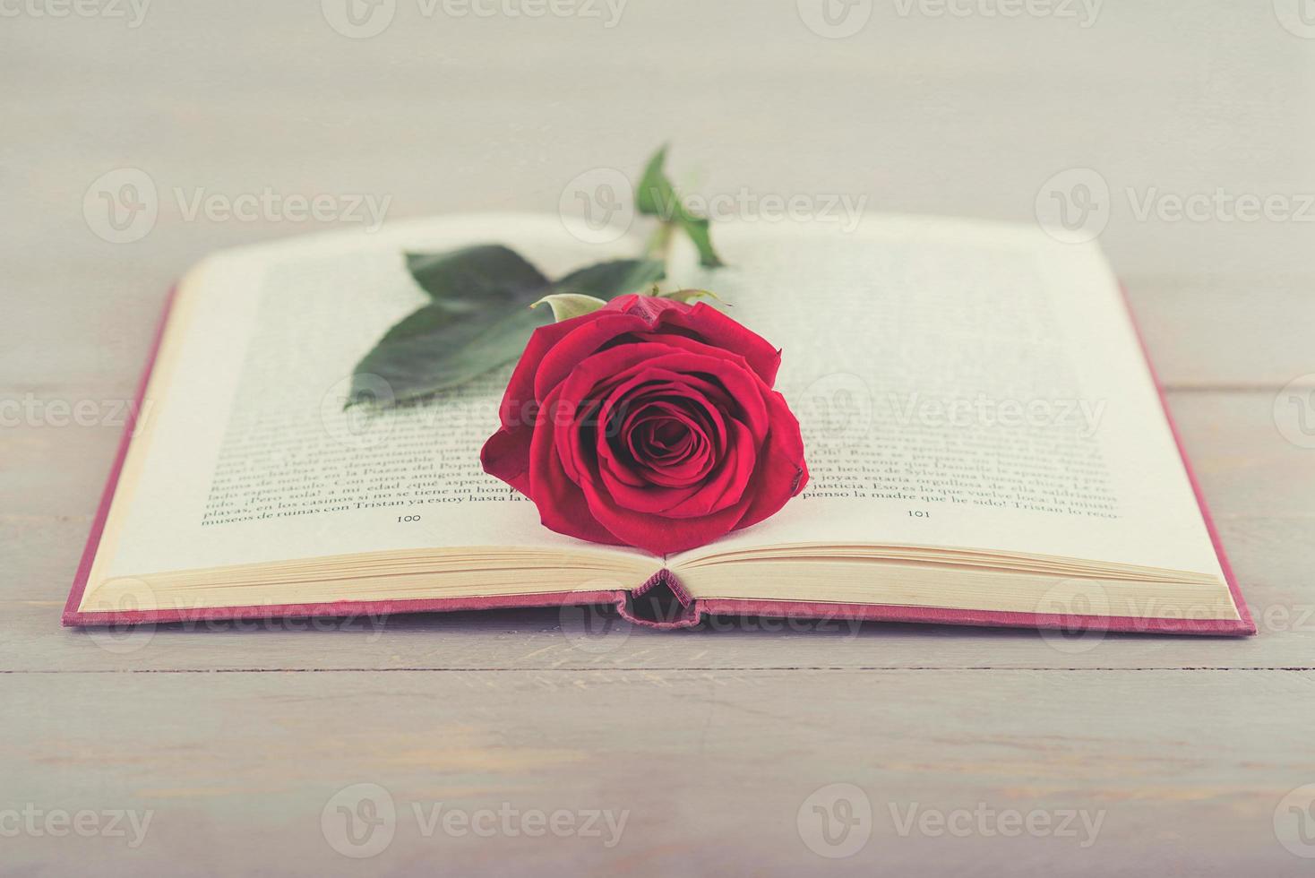 roos in een boek foto