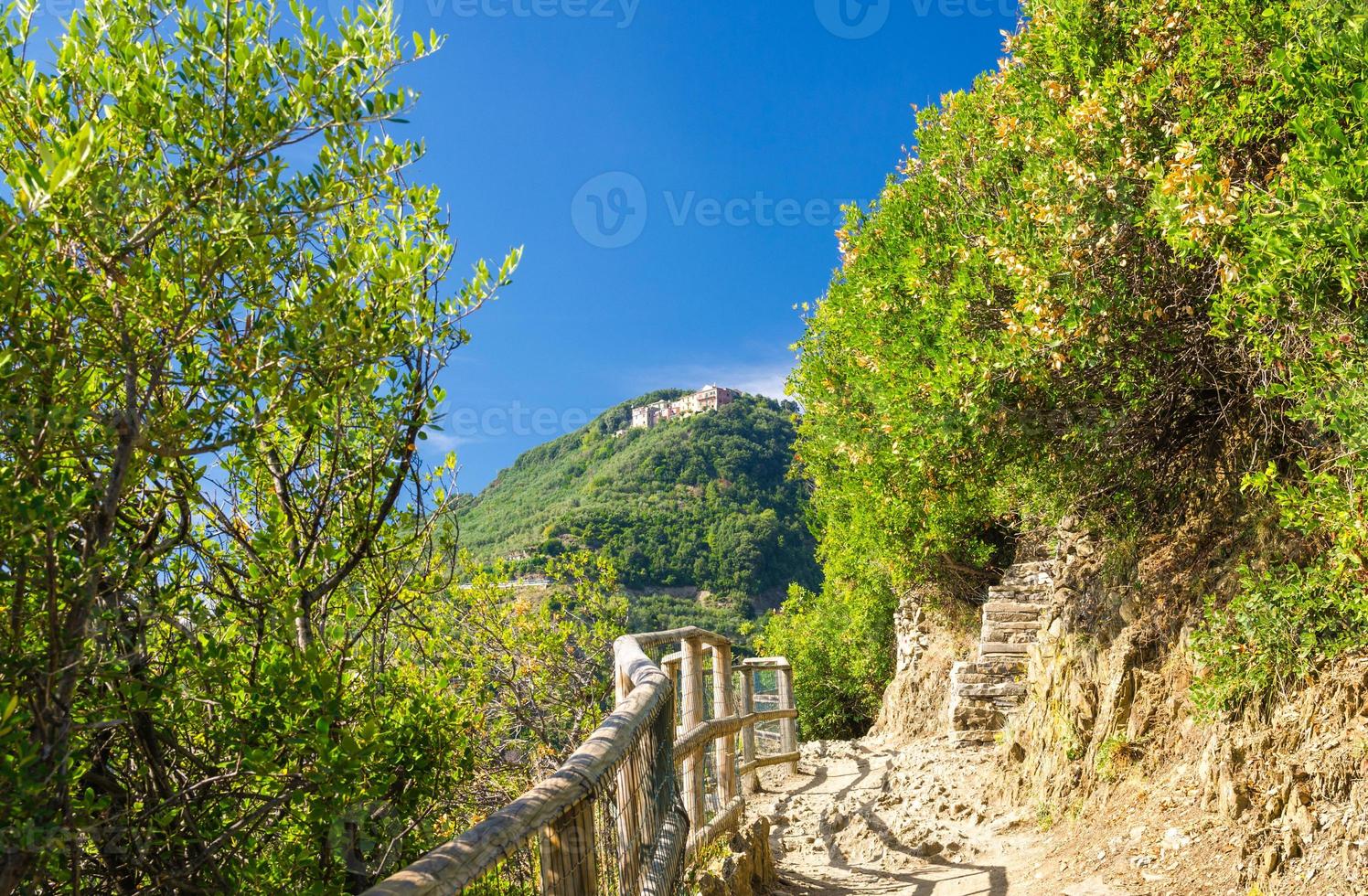 voetgangerswandelpad met stenen pad met reling tussen corniglia en vernazza dorpen met groene bomen foto