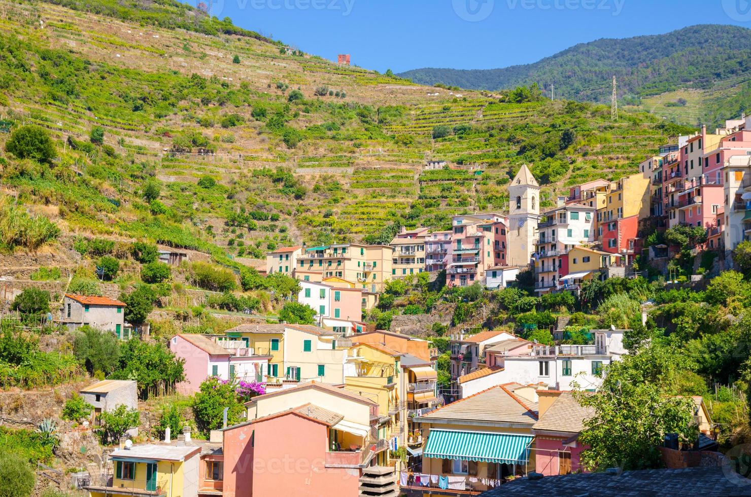 typische Italiaanse gebouwenhuizen en groene wijngaardterrassen in de vallei van het dorp Manarola foto