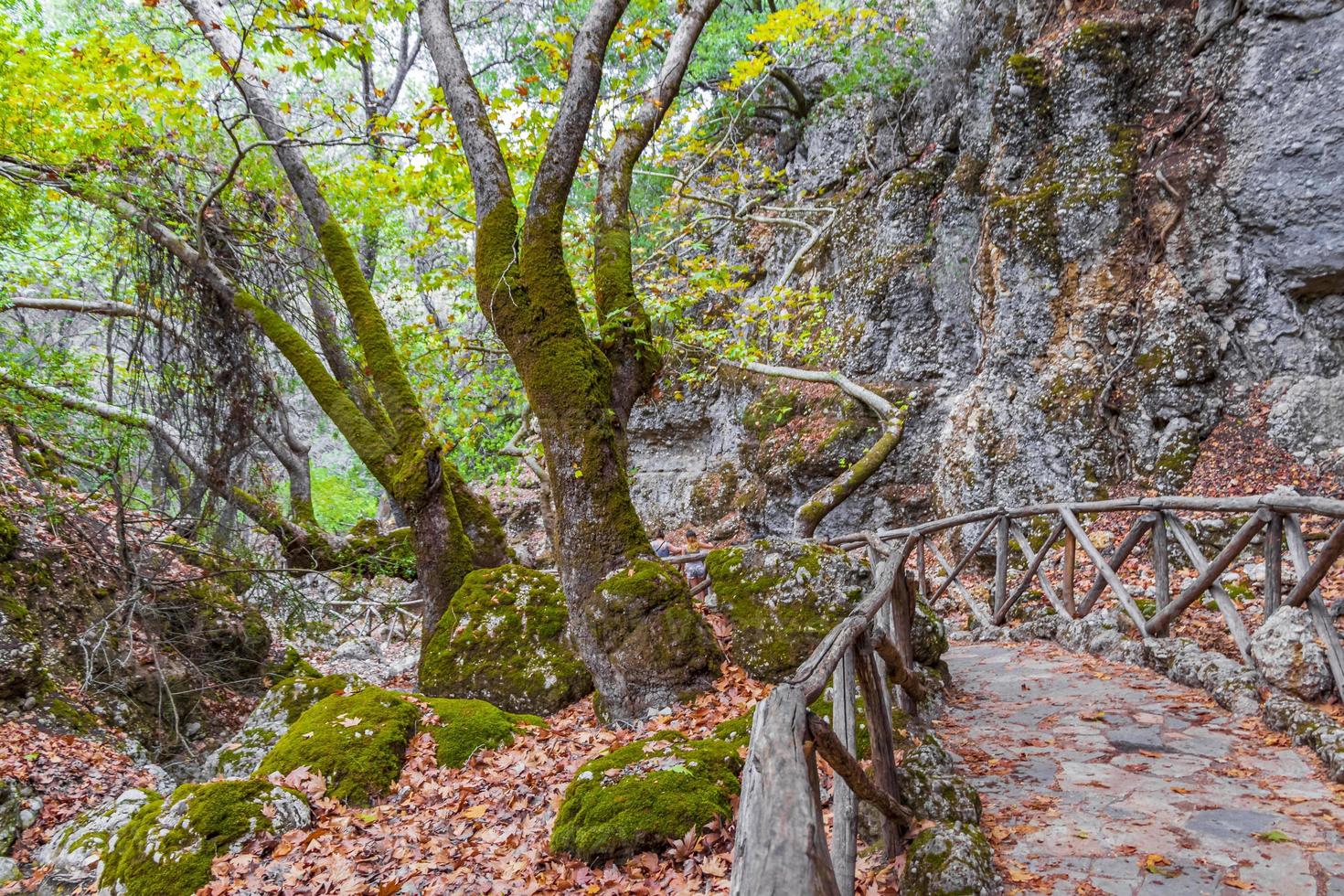 houten natuurlijk wandelpad vlinders vlindervallei rhodos griekenland. foto