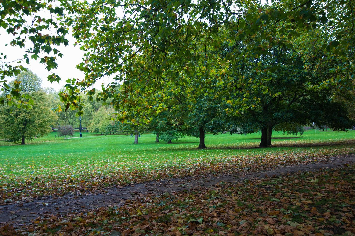 prachtig park in londen in de herfst. vallende bladeren. foto