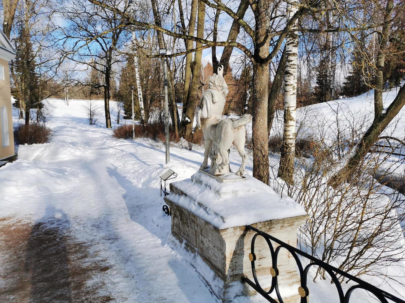 winter in pavlovsky park witte sneeuw en koude bomen foto