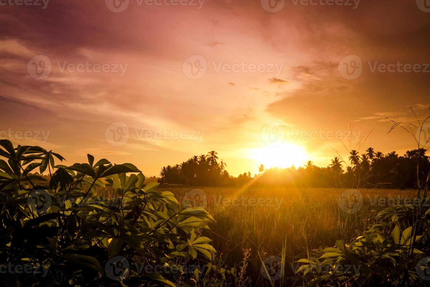 prachtige rode lucht zonsondergang in de landbouwgrond foto