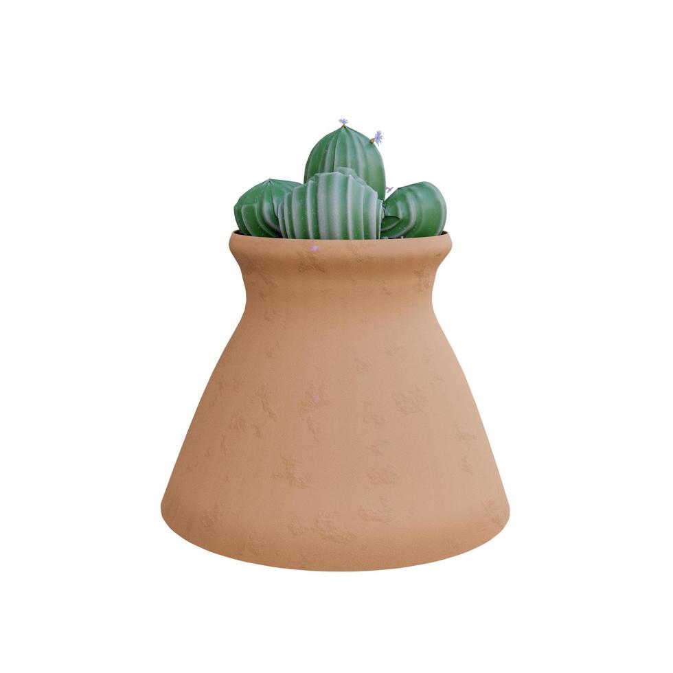 cactus plant in pot geïsoleerd op een witte achtergrond. foto