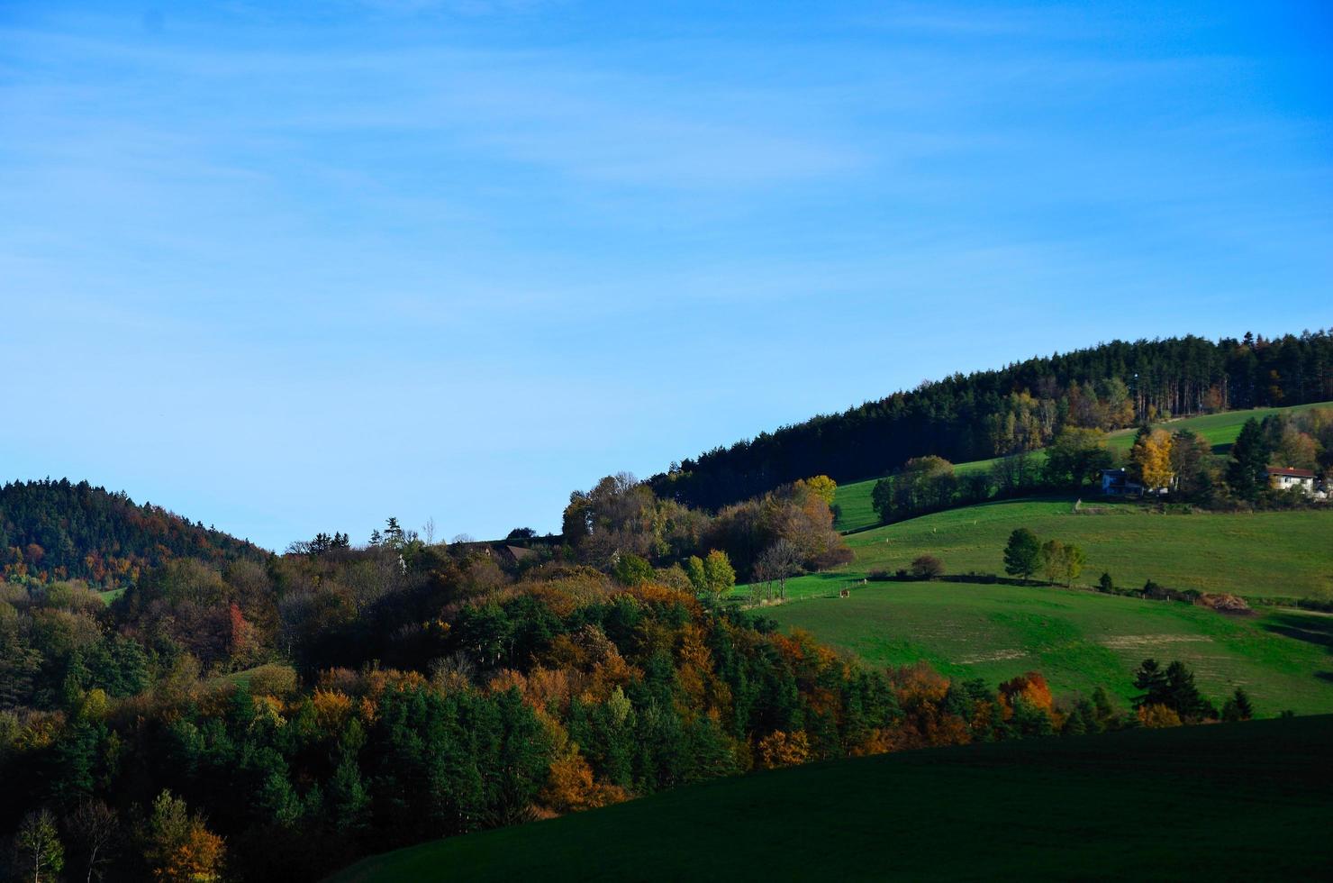 herfstlandschap met kleuren foto