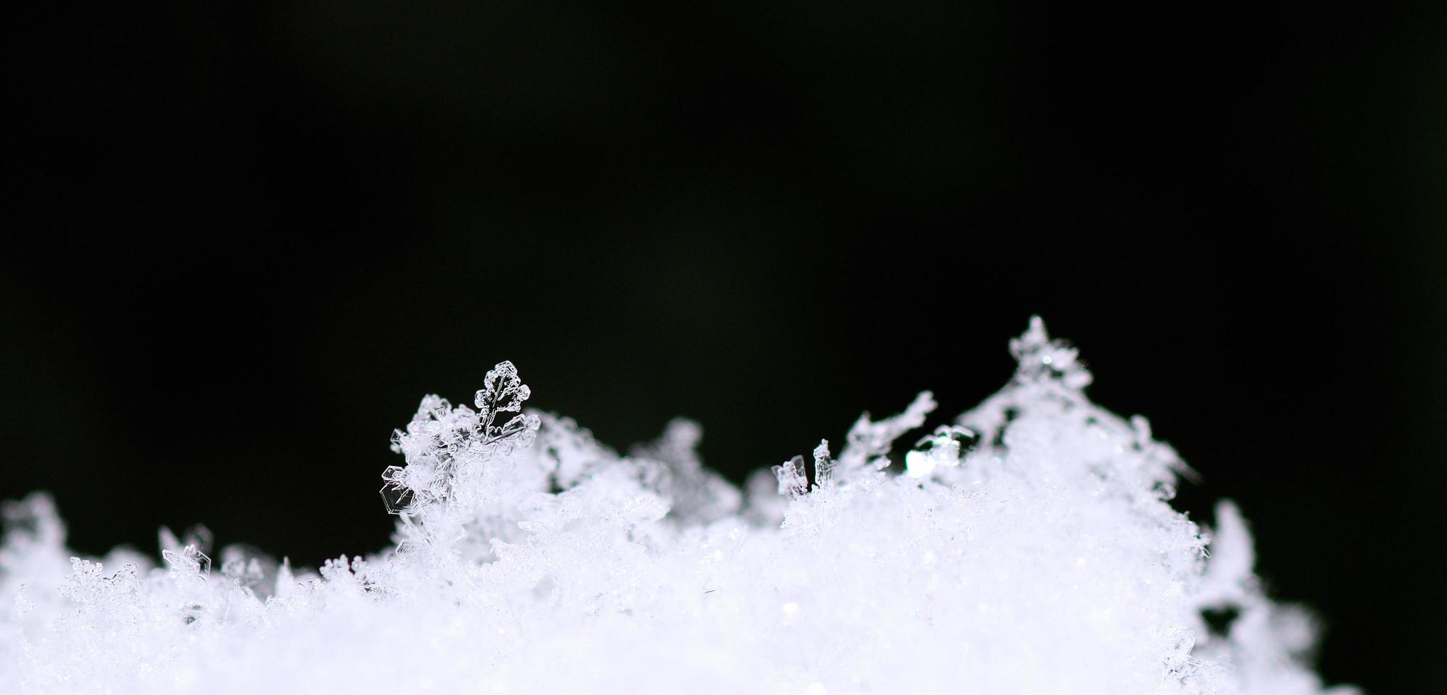 sneeuwkristallen en groen achtergrondpanorama foto