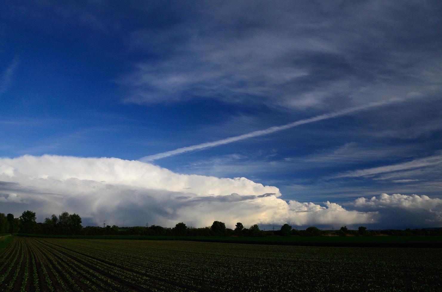 groen veld en wolken foto