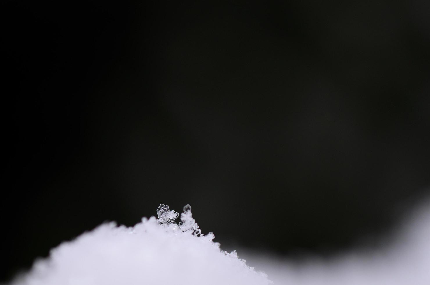 enkele kleine sneeuwkristal foto