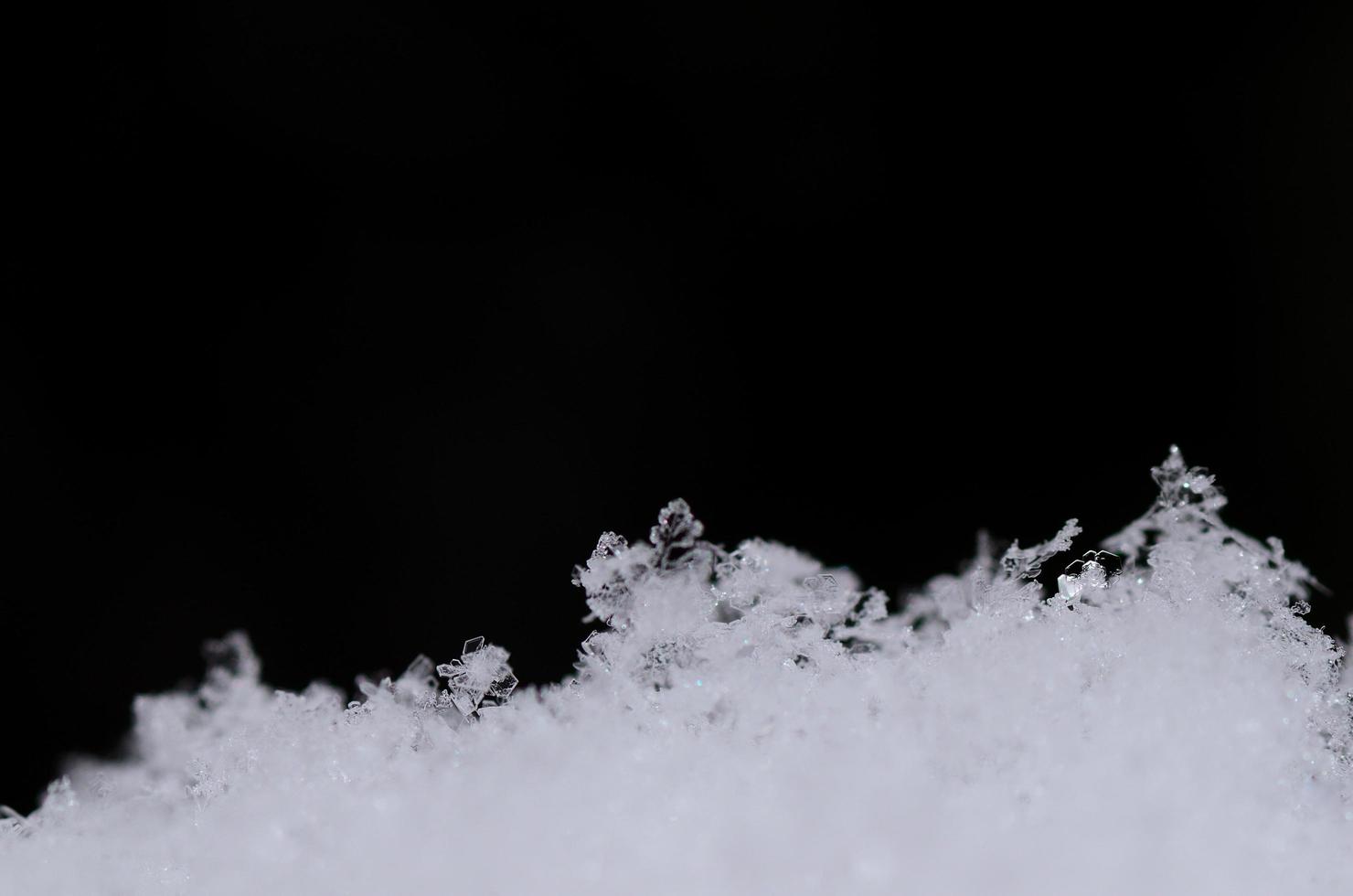 veel verse sneeuwkristallen foto
