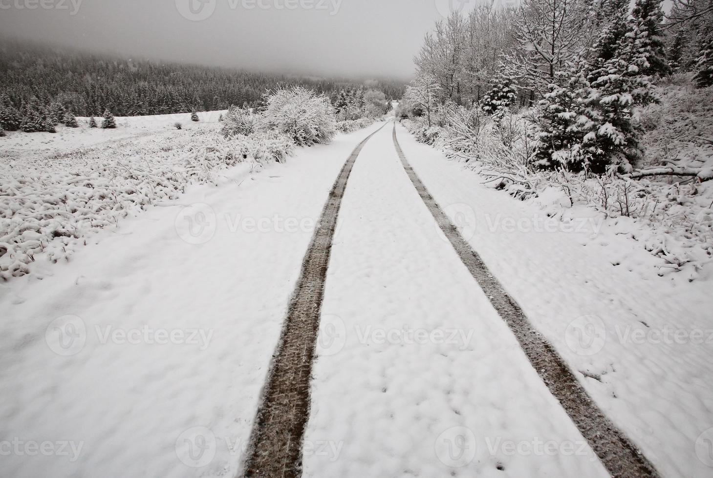 winterdag in de cipressenheuvels van saskatchewan foto