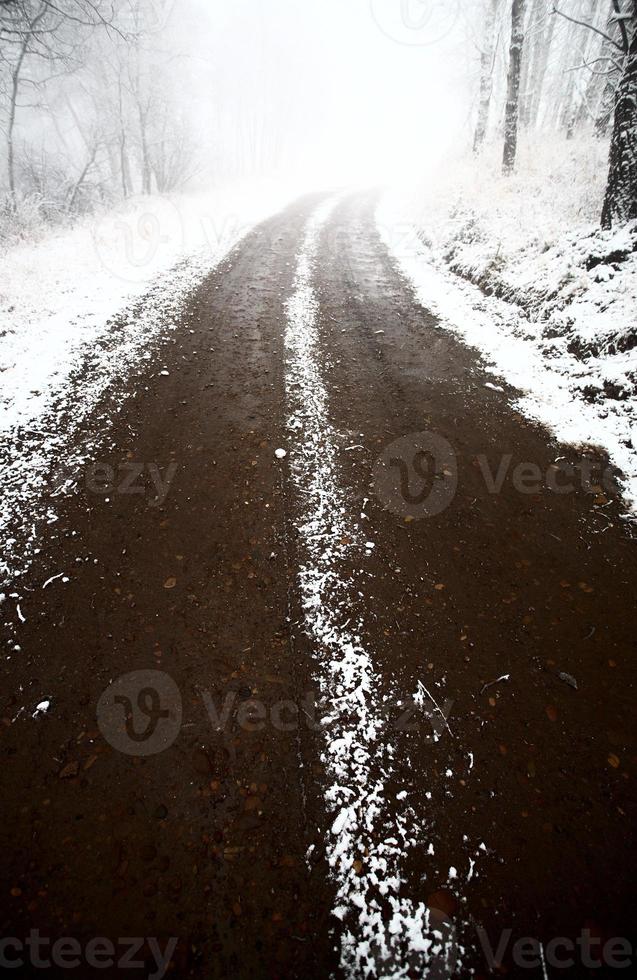 ijsmist in cipressenheuvels provinciaal park van saskatchewan foto