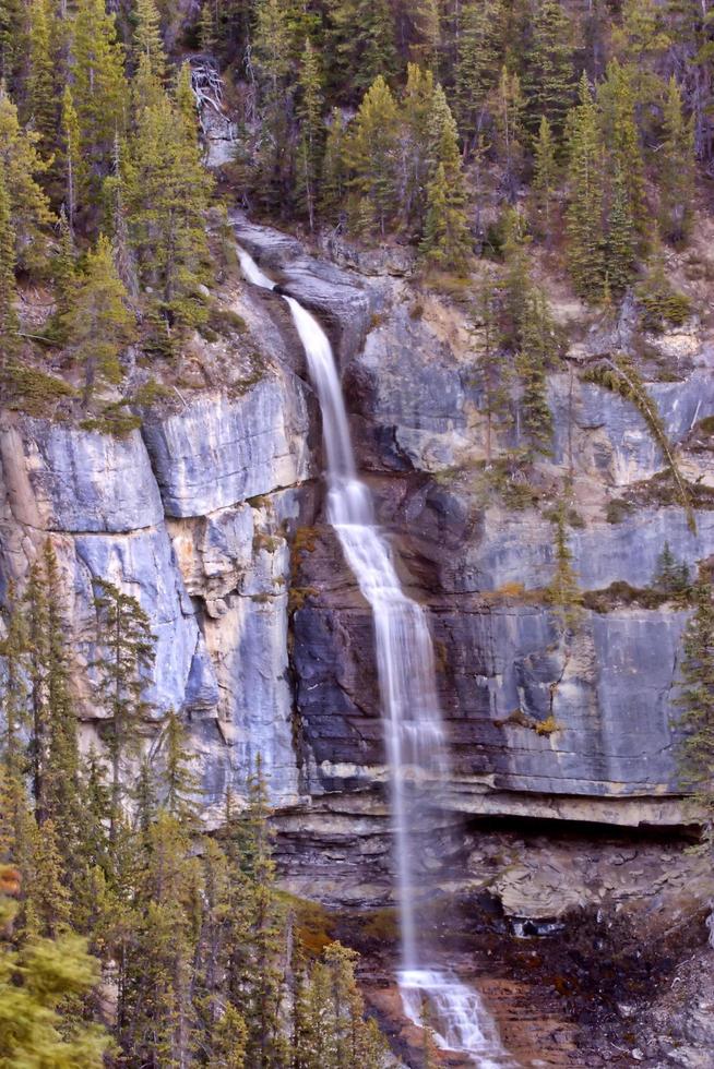 tangle Creek Falls in het schilderachtige Alberta, Canada foto