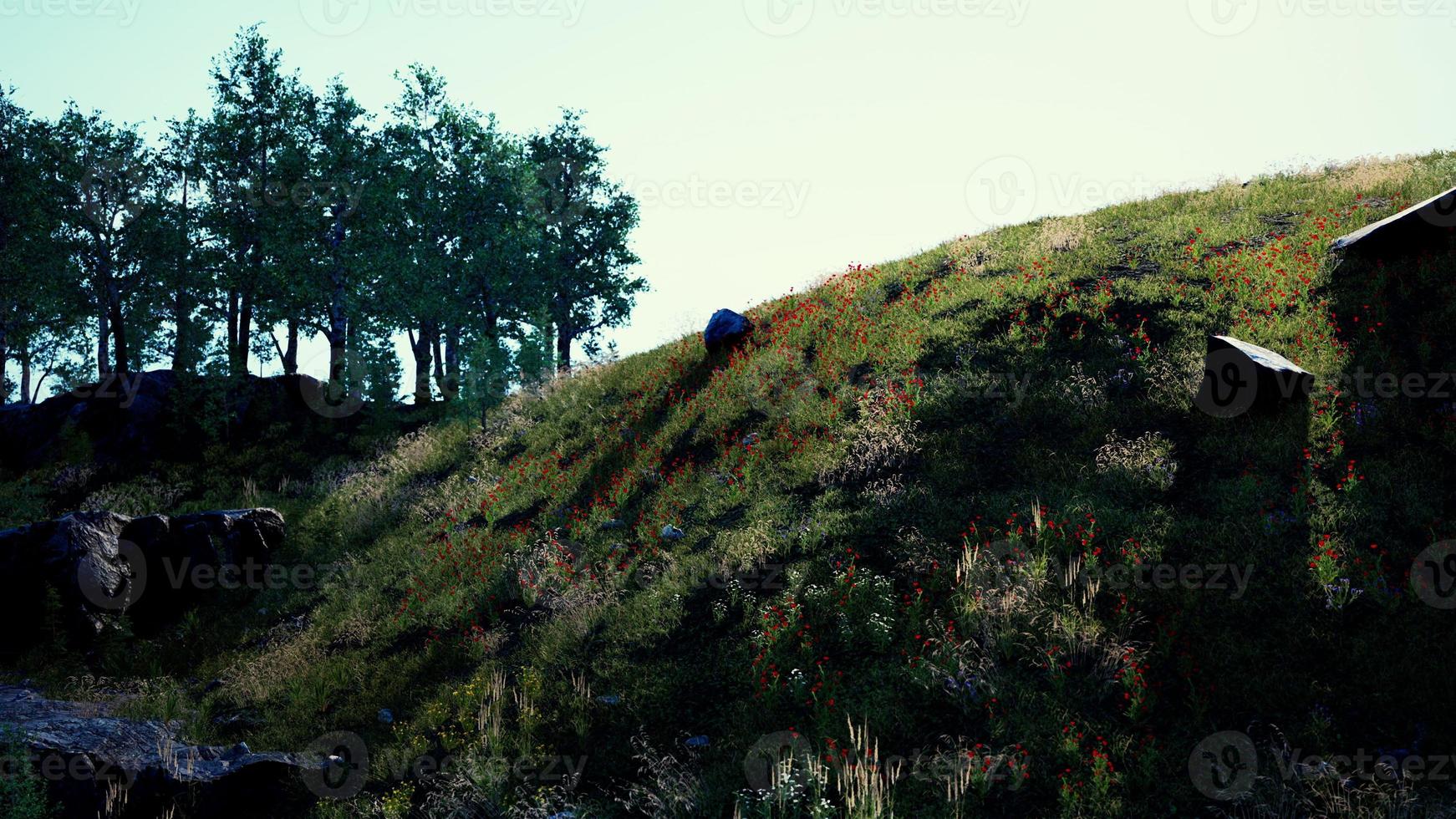 prachtig panoramisch landschap van de bergvallei van de pyreneeën foto