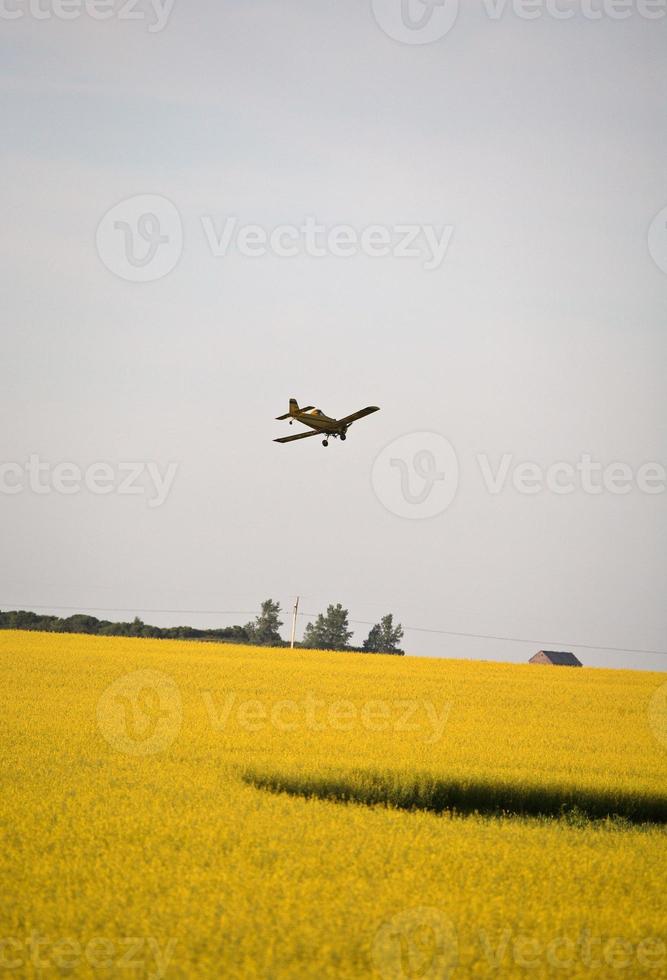 cropduster vliegtuig maakt bocht om een veld in saskatchewan te besproeien foto