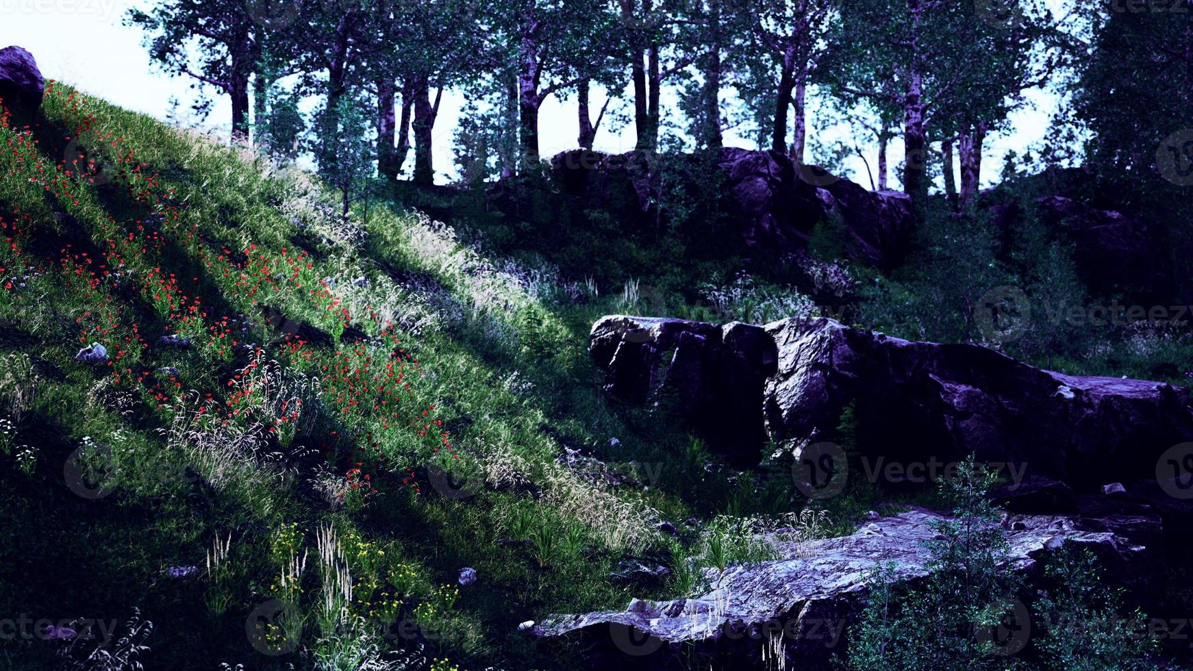 prachtig uitzicht op idyllisch berglandschap met bloeiende weiden foto