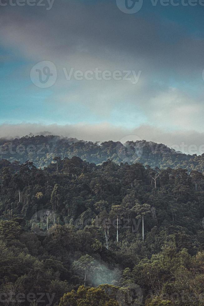 ochtendmening van berglandschap met mist op hemel en wolkenachtergrond in phatthalung-provincie, zuidelijk van thailand. foto