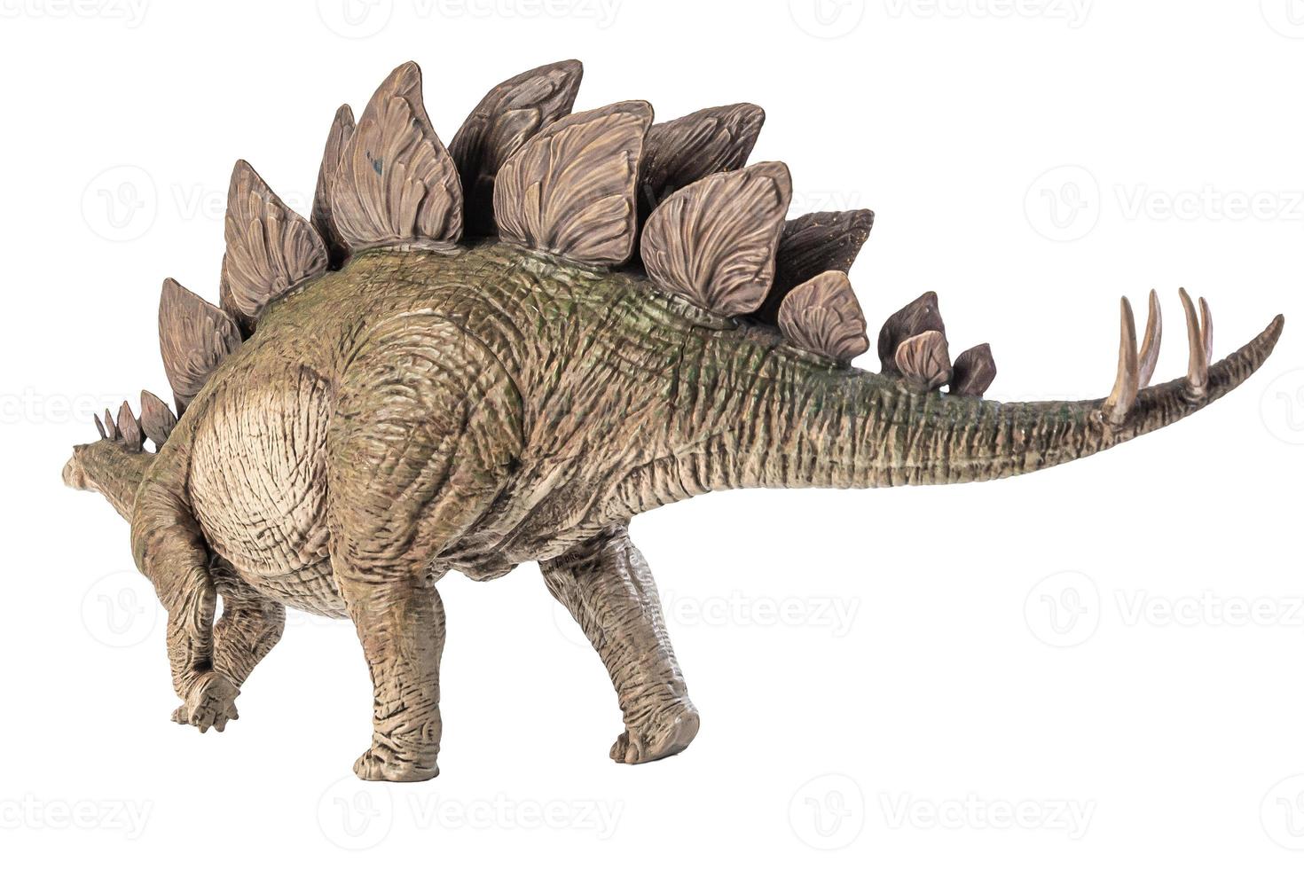 stegosaurus dinosaurus op witte achtergrond foto