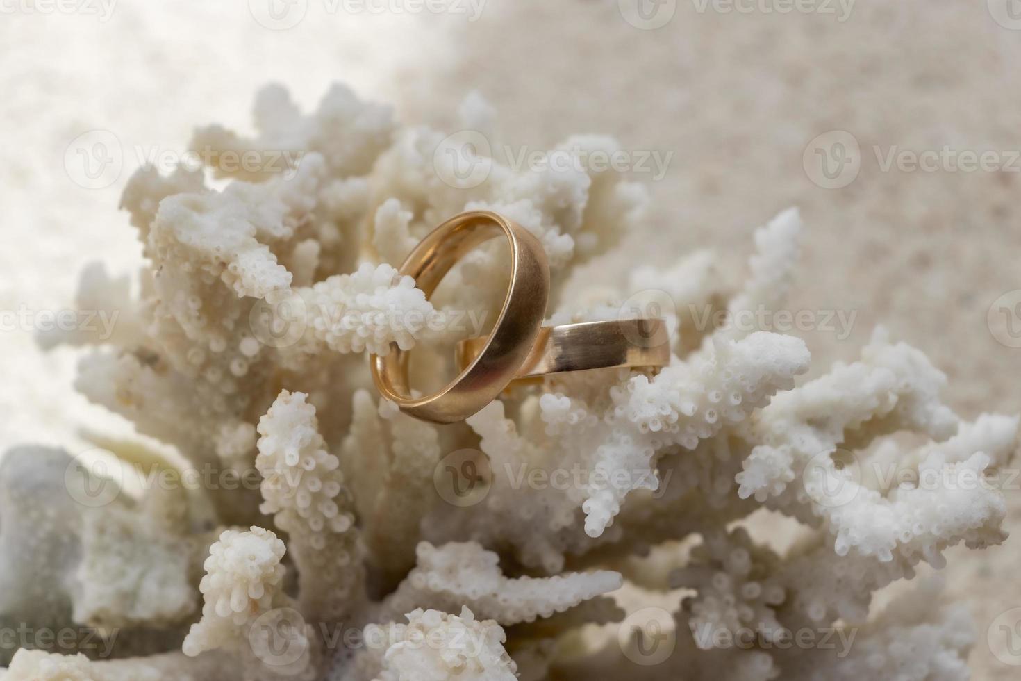 trouwringen op koraal op het strand. huwelijksreis in thailand. foto