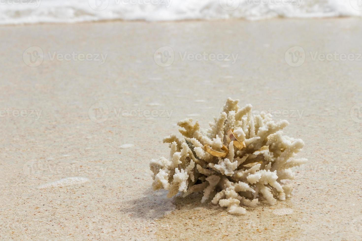 trouwringen op koraal op het strand. huwelijksreis in thailand. foto