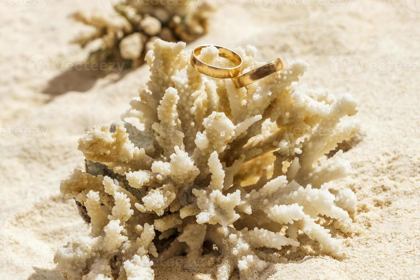 trouwringen op koraal op het strand. huwelijksreis in thailand. foto