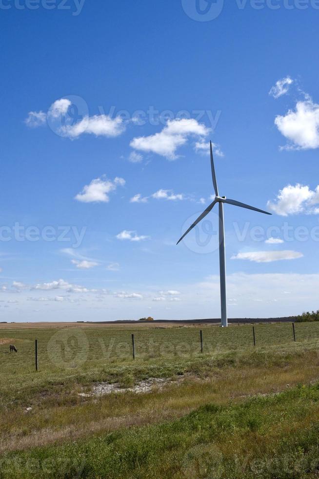 een stroomopwekkende windturbine staat in een veld onder een blauwe lucht foto