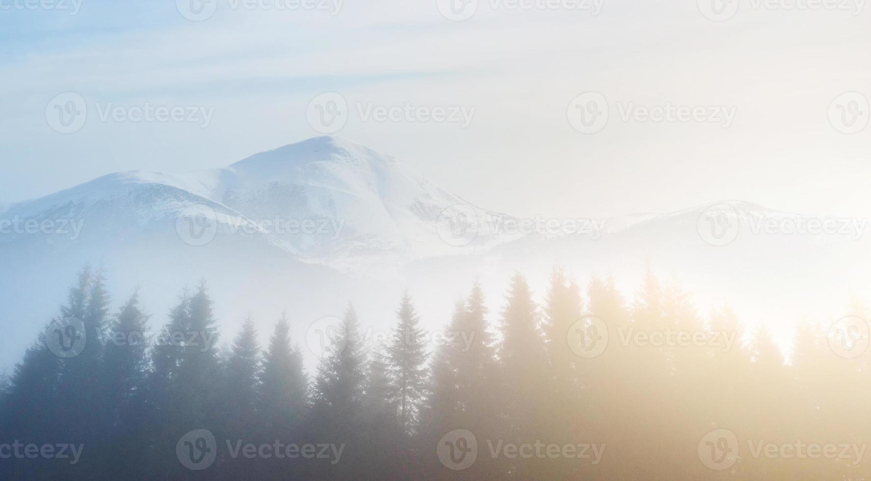 ochtendmist kruipt met kladjes over herfst bergbos bedekt met bladgoud. besneeuwde toppen van majestueuze bergen op de achtergrond foto