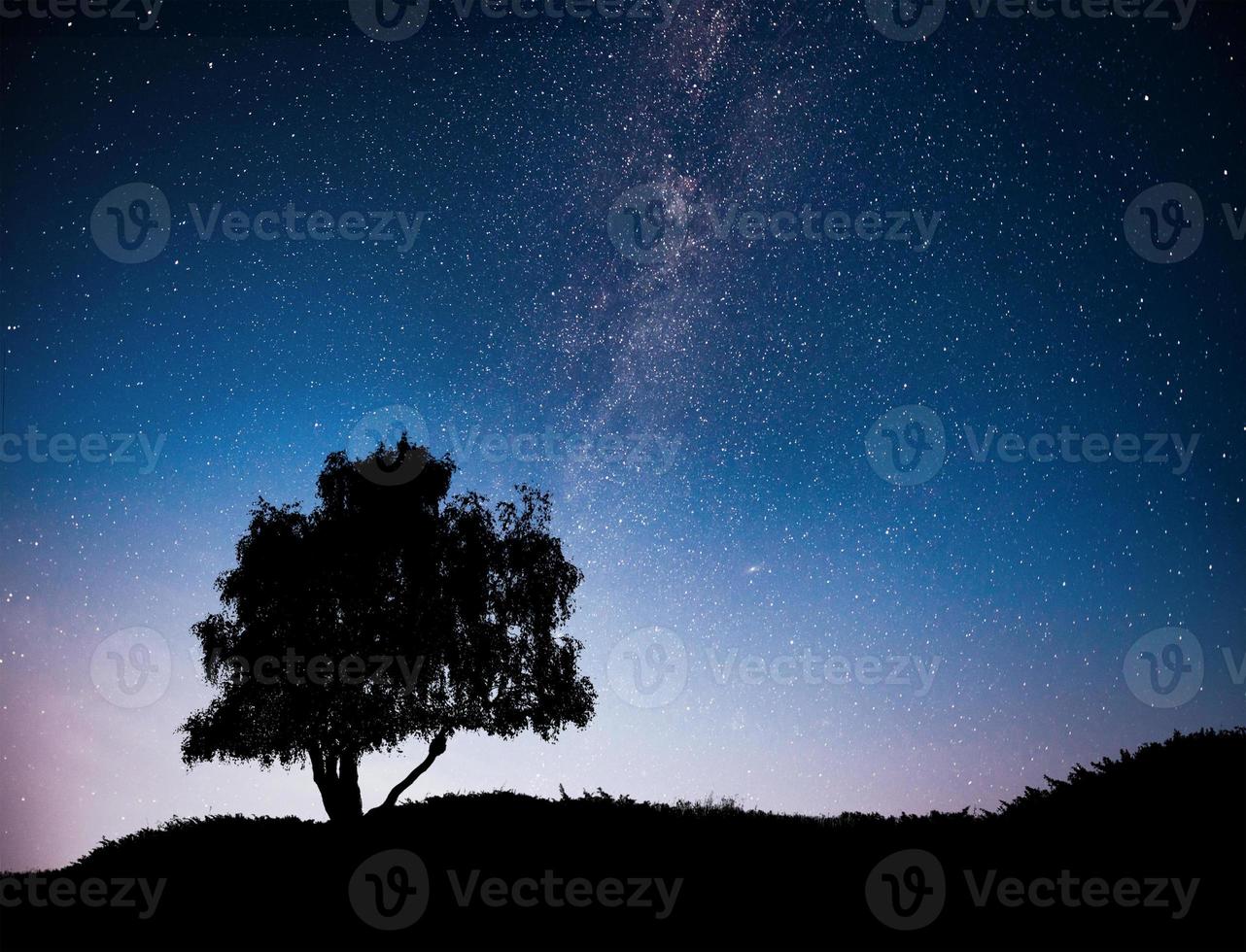 landschap met nachtelijke sterrenhemel en silhouet van boom op de heuvel. melkweg met eenzame boom, vallende sterren. foto