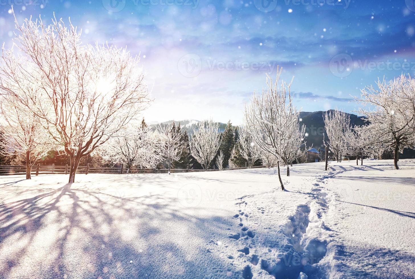 winterlandschap bomen en hek in rijm, achtergrond met enkele zachte highlights en sneeuwvlokken. gelukkig nieuwjaar foto