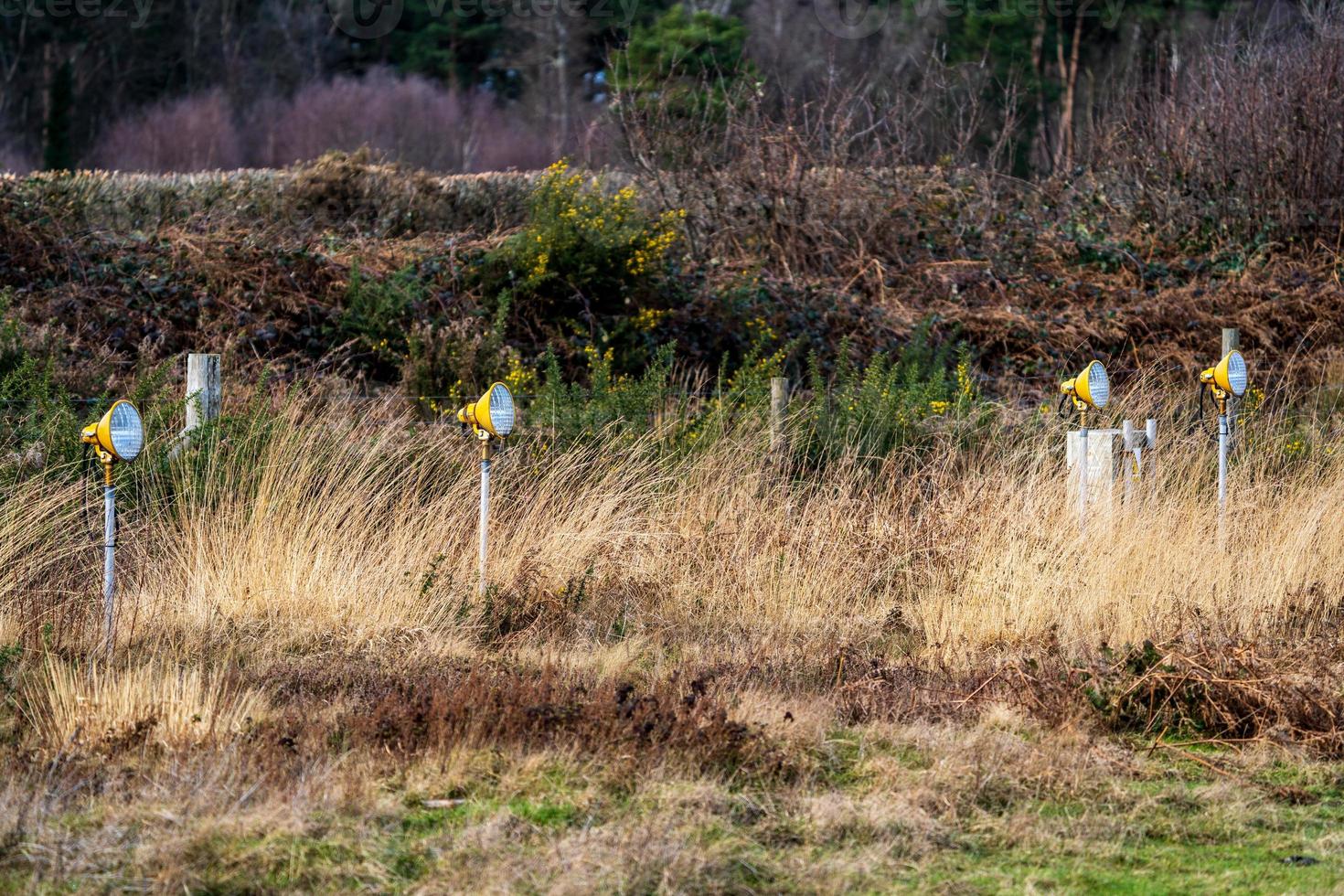 luchthaven landingslichten in veld foto