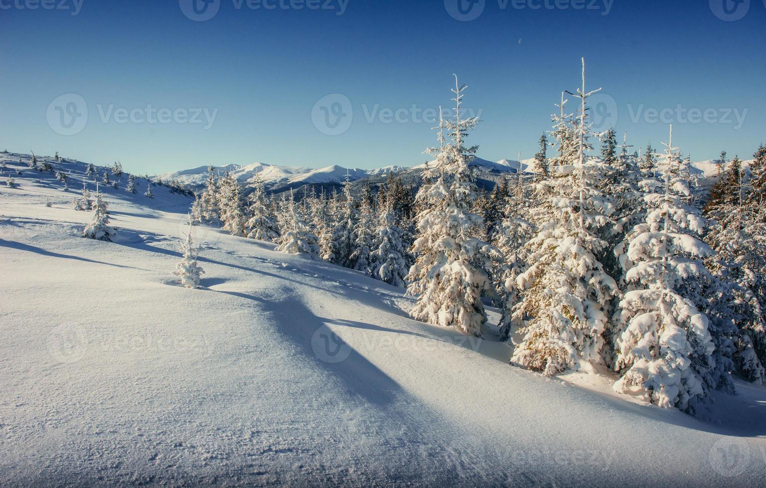 fantastisch winterlandschap in de bergen van oekraïne. in antiquiteit foto