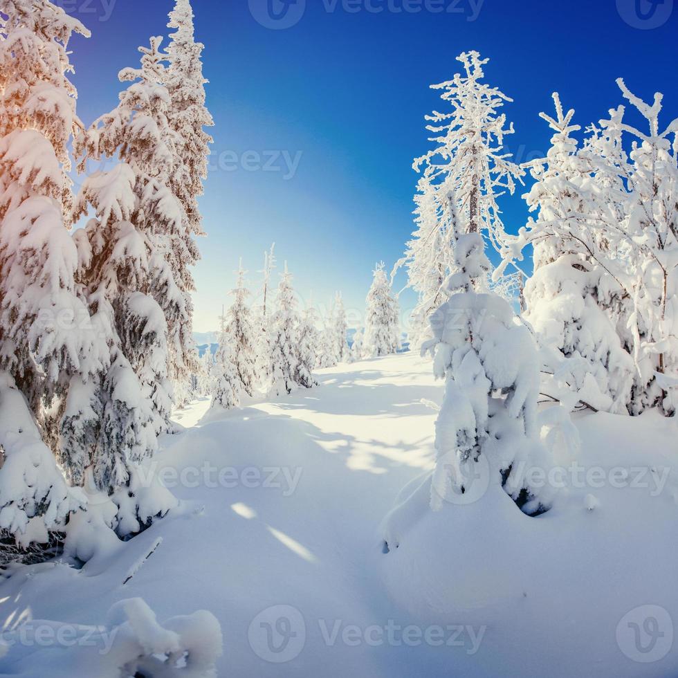 fantastisch winterlandschap in de bergen van oekraïne. in antiquiteit foto