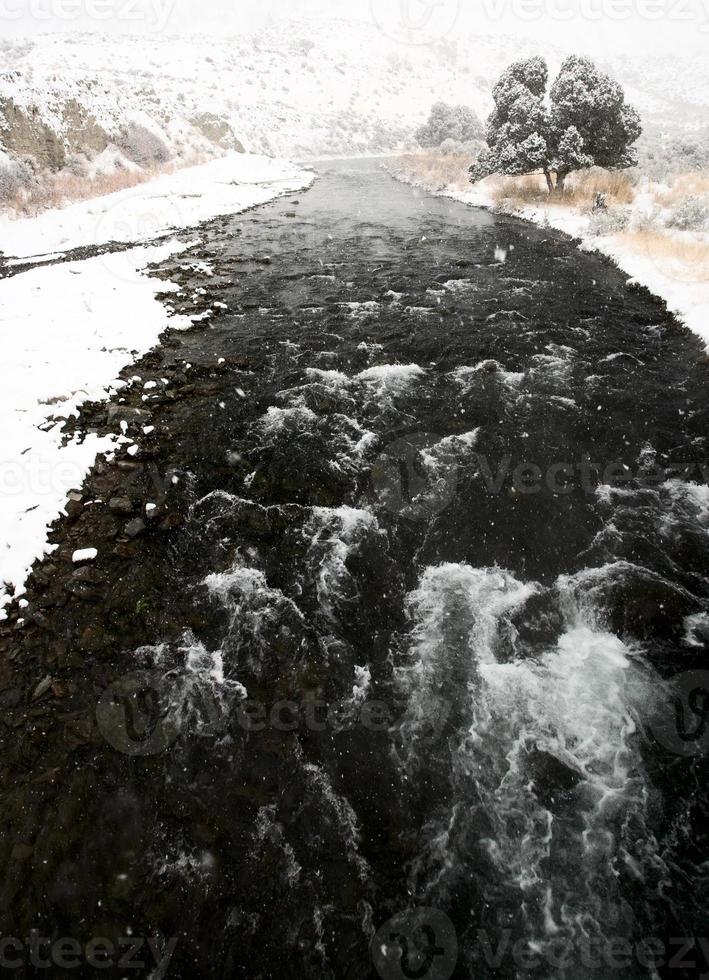 Yellowstone Park Wyoming Winter Sneeuw foto