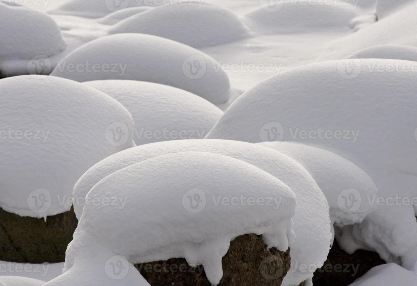 yellowstone park wyoming winter sneeuw soda butte creek foto