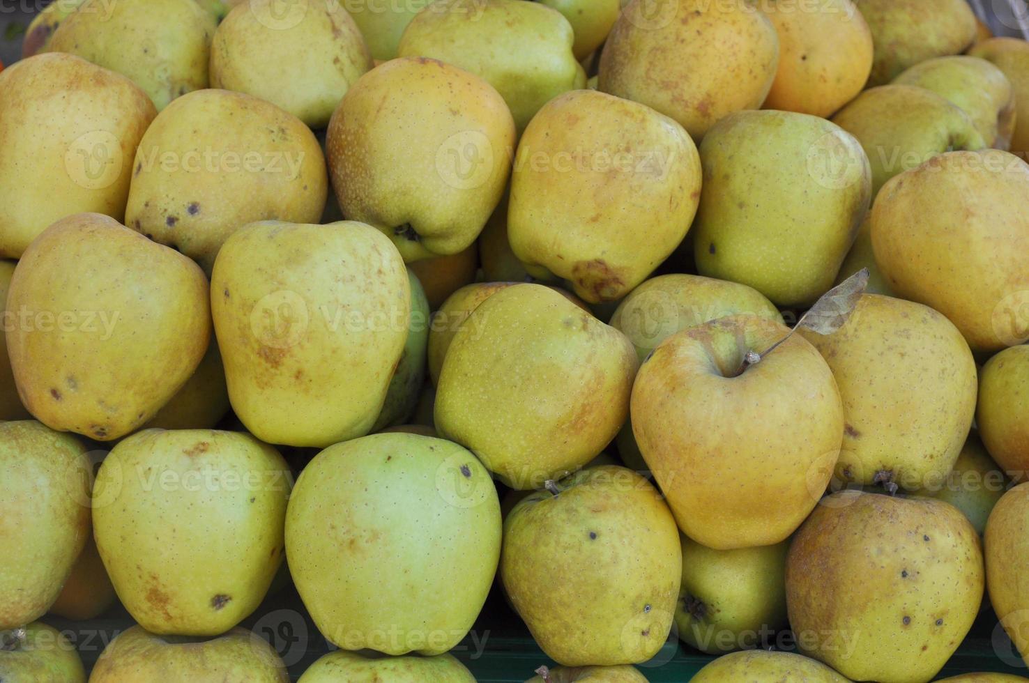 appel fruit malus domestica, groen, geel of rood foto