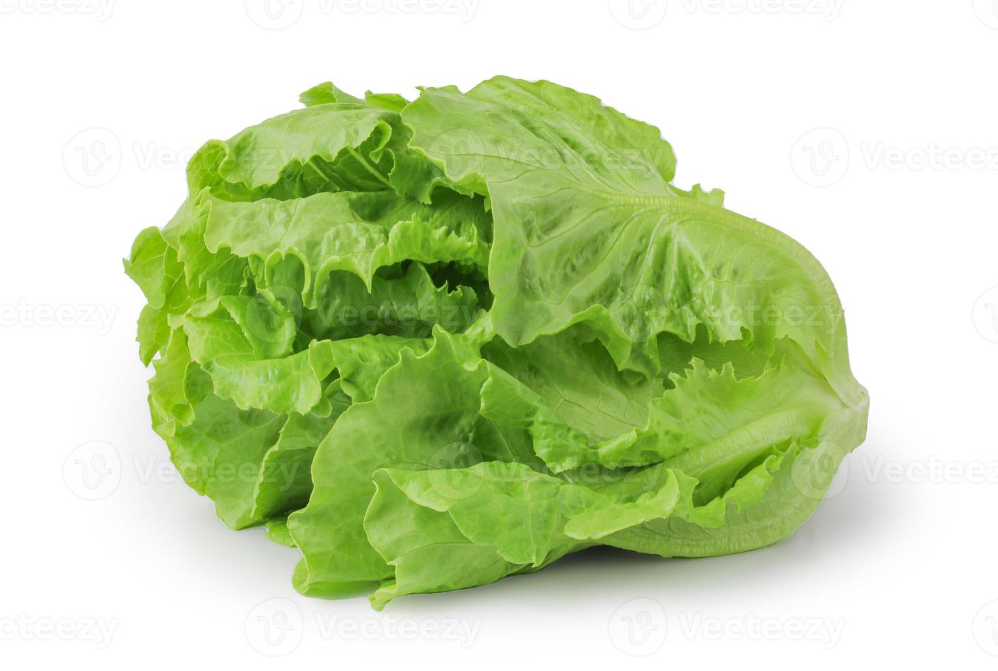 Verse groene sla salade bladeren geïsoleerd op een witte achtergrond, uitknippad, volledige scherptediepte foto