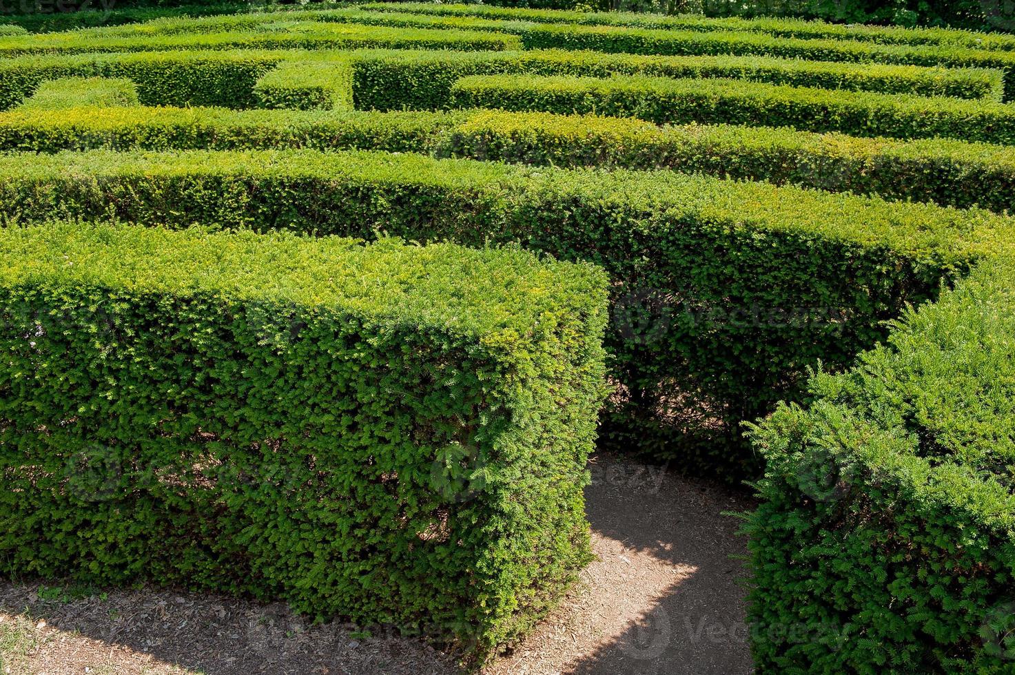labyrint in botanische tuin foto