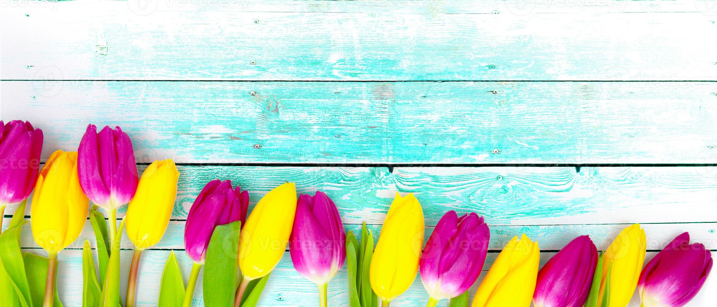 mooie tulpen. lente natuur achtergrond voor webbanner en kaart ontwerp. foto