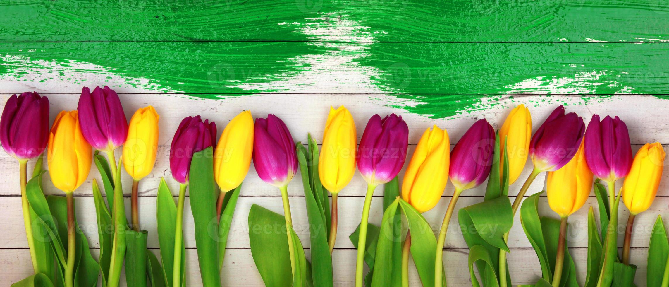 mooie tulpen. lente natuur achtergrond voor webbanner en kaart ontwerp. foto