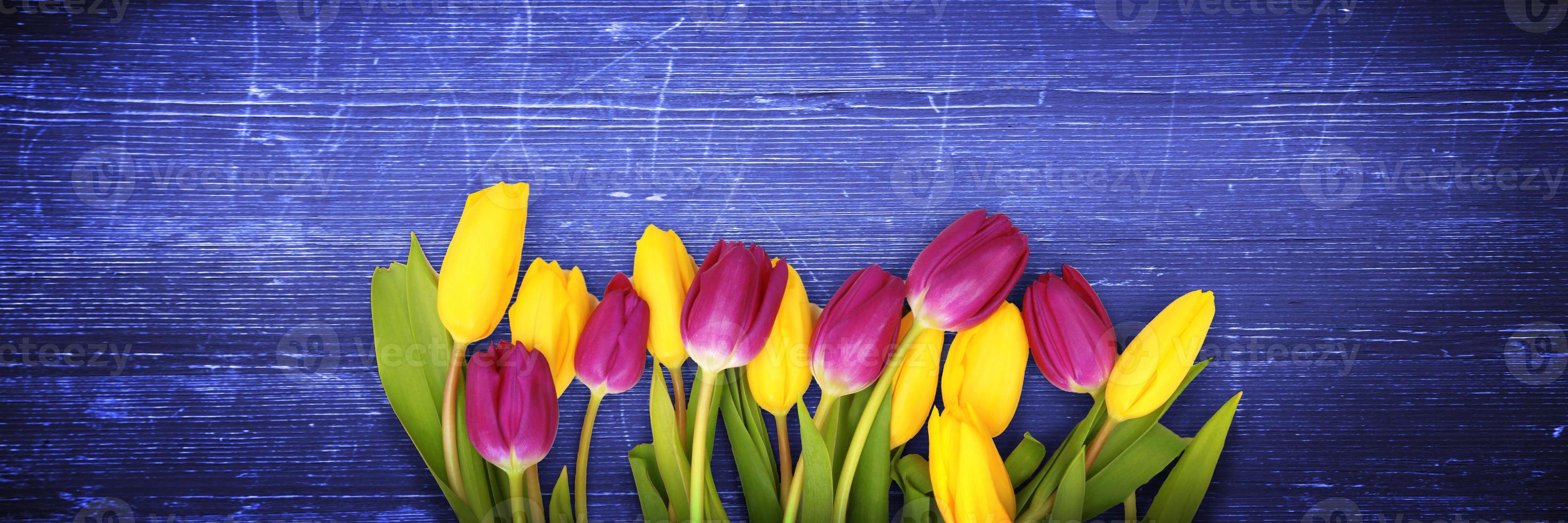 mooie tulpen. lente natuur achtergrond voor webbanner en kaart ontwerp. foto