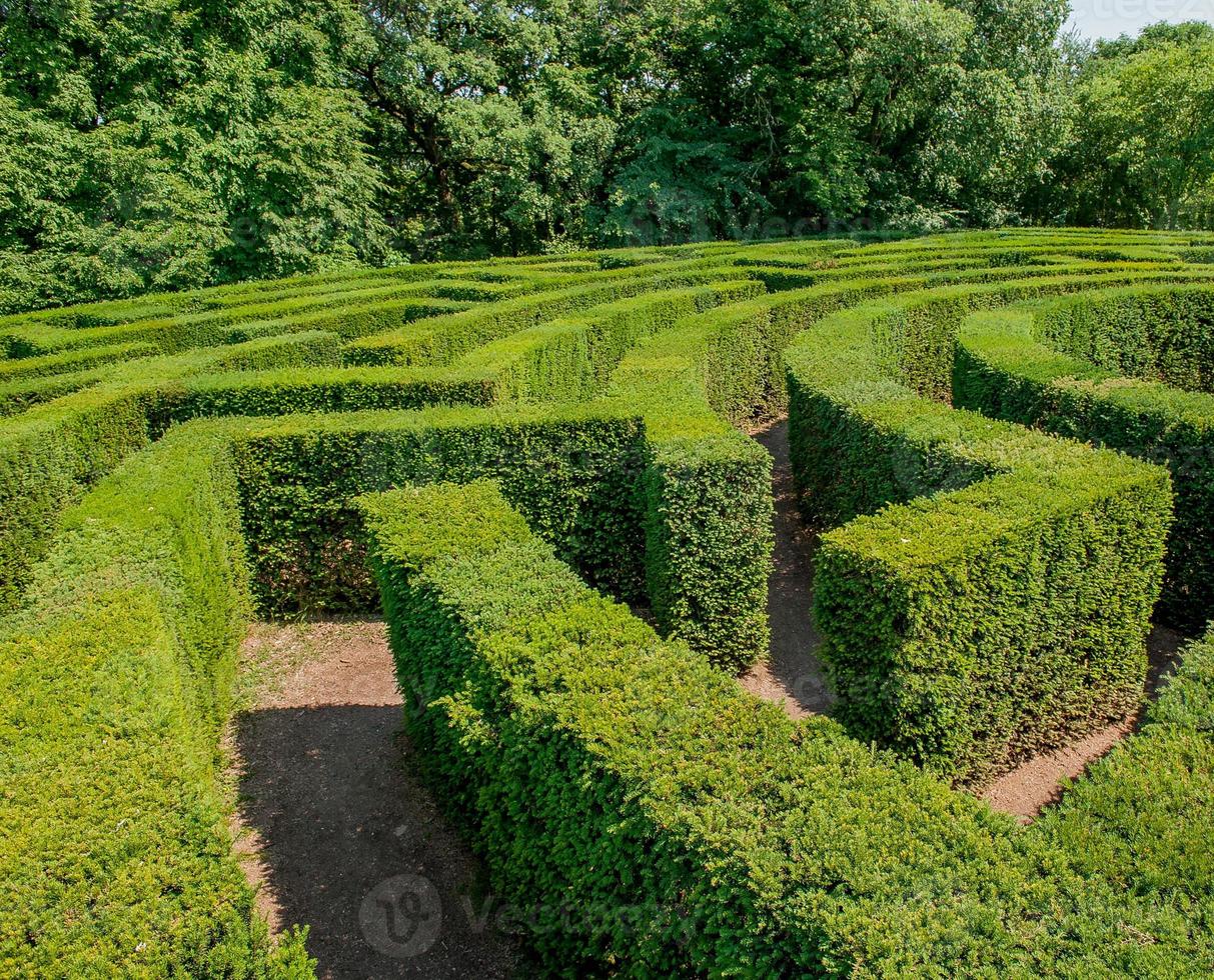 labyrint in botanische tuin foto