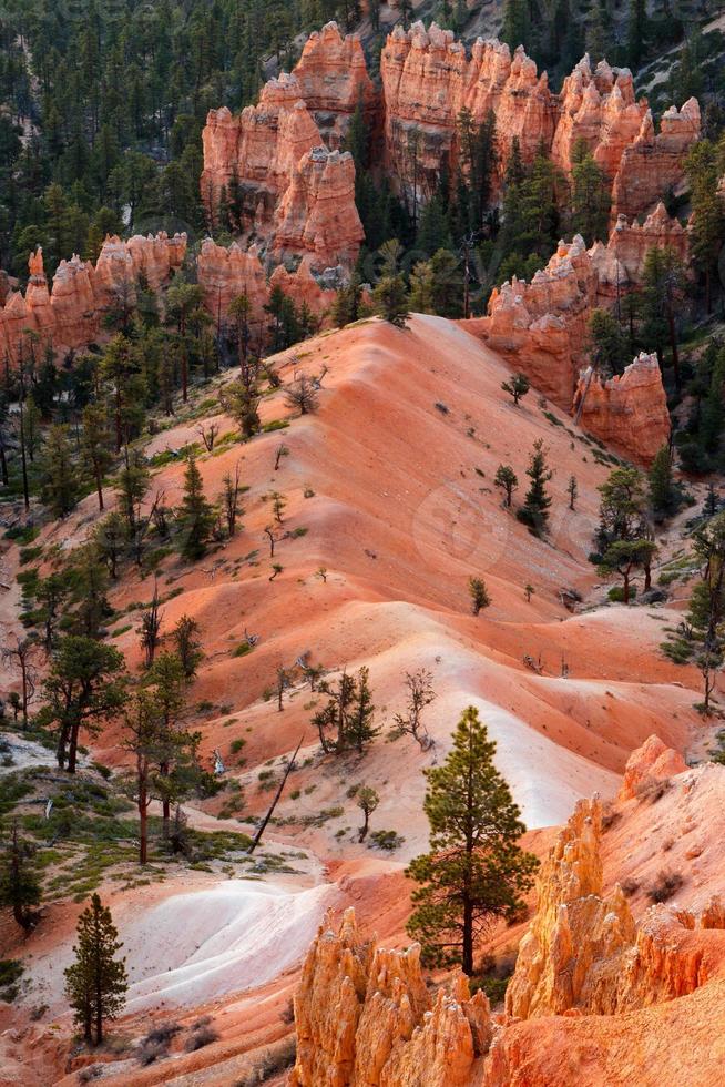 schilderachtig uitzicht op Bryce Canyon, Zuid-Utah foto