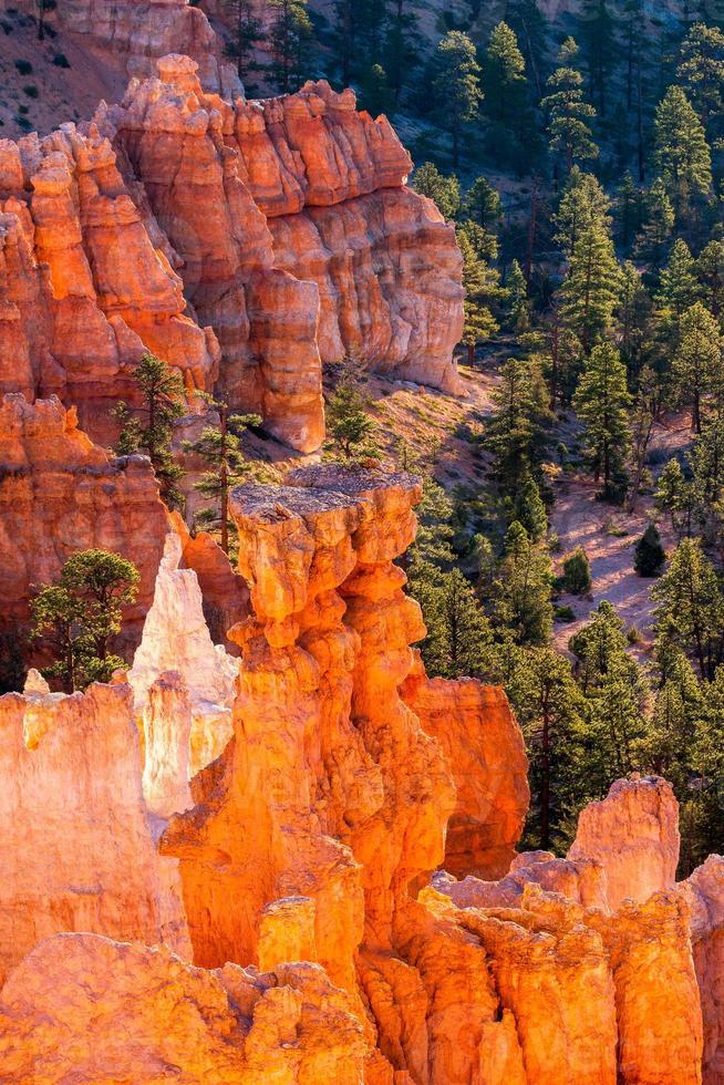 gloeiende hoodoos in Bryce Canyon foto