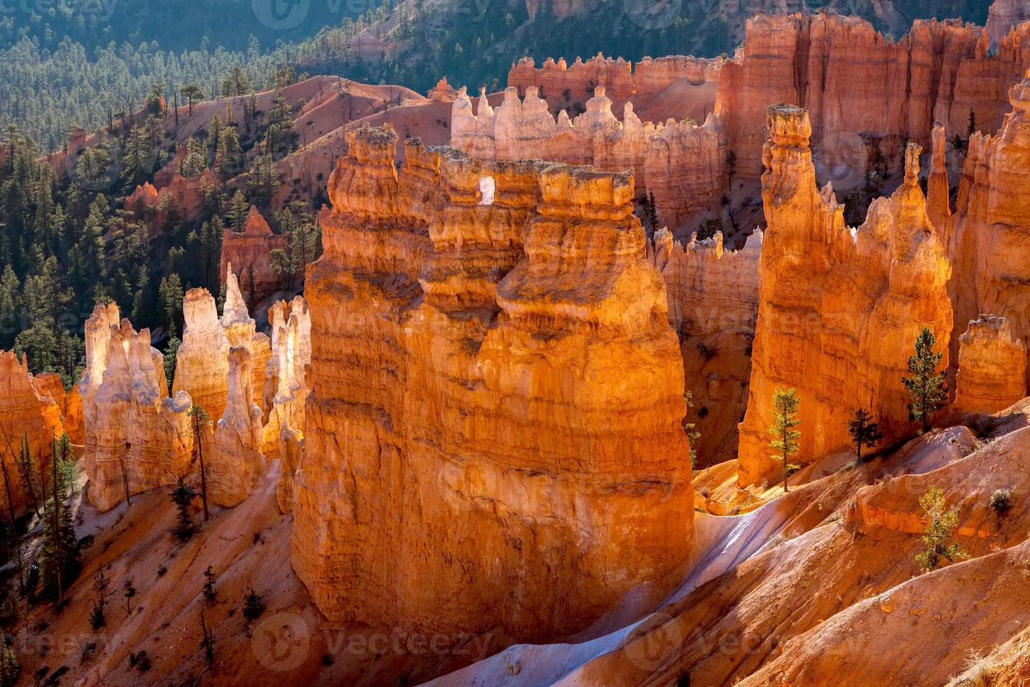 bryce canyon gebeeldhouwd door de natuur foto