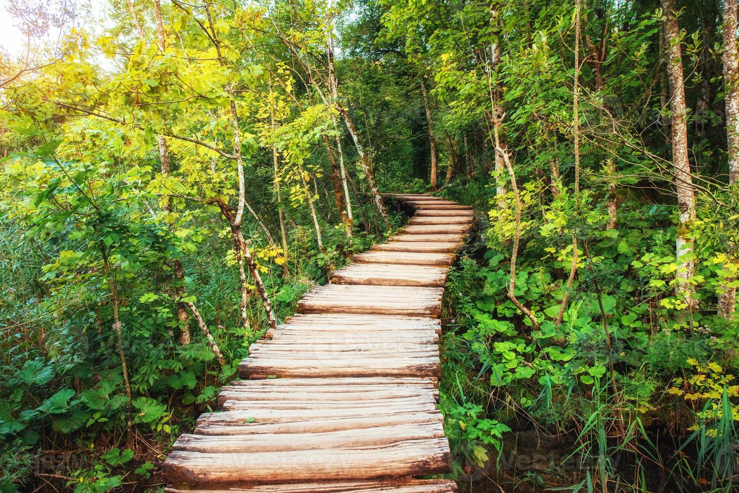 plitvice meren park in kroatië. Europa. instagram toning-effect foto